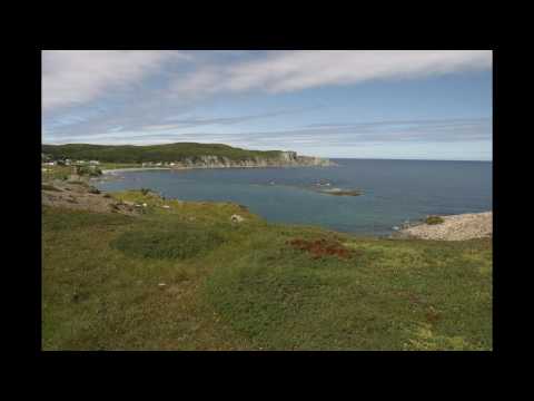 The Banks of Newfoundland