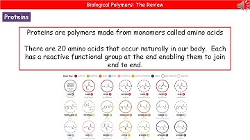 OCR Gateway A (9-1) C6.2.8 - Biological Polymers