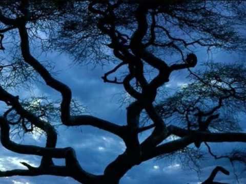 ერკელია