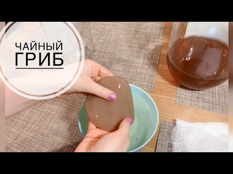 ТЕСТИРУЮ чайный гриб из фикс прайс, а он НЕ ВСПЛЫЛ! Что делать?? Комбуча не получилась!