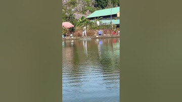 Vlogs 162 Báo cá - Hồ Câu Minh Ngọc 0828152222 Thôn Khúc Giản, Xã An Tiến, Huyện An Lão, Hải Phòng