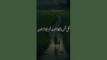 راحة نفسية 🌿عبد الرحمن مسعد تلاوة خاشعة حالات واتس اب قرآن كريم