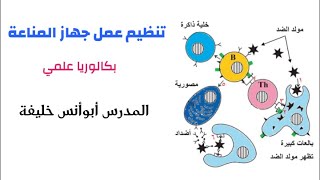 تنظيم عمل جهاز المناعة||بكالوريا علمي