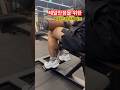 제멀만점을 위한 웨이트트레이닝 시티드카프레이즈 #체대입시 #체대입시학원 #체대입시생 #종로체대입시 #일산체대입시 #고양체대입시 #웨이트트레이닝 #카프레이즈 #제멀만점