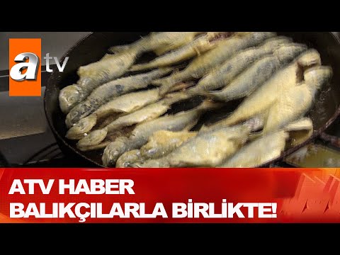 Atv Haber balıkçılarla birlikte! - Atv Haber 10 Ocak 2021