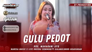 GULU PEDOT - MAHARANI AYU || MAHESA MUSIK LIVE ORCOKA COMMUNITY - KALANGLUNDO - GROBOGAN -DHEHAN PRO