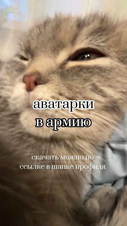аватарки в армию😗 #мемныеавы #аватарки #авы #армия - YouTube