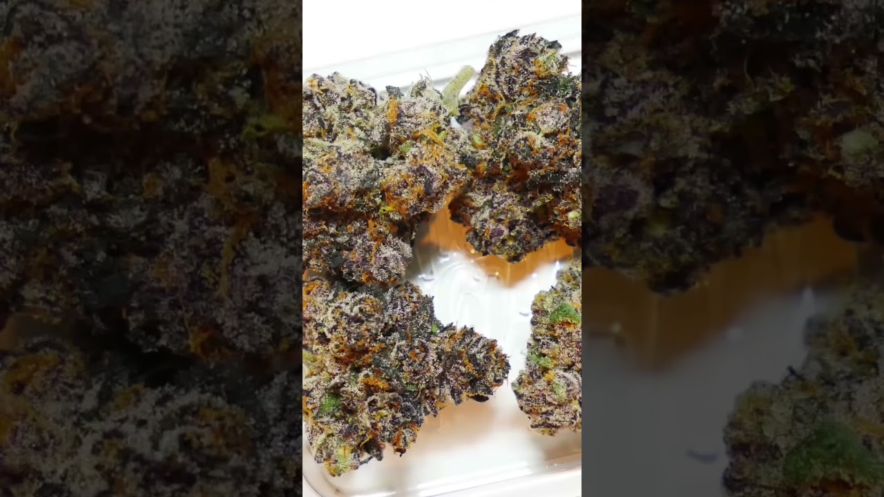 What brought Randy back to the Jungle? Seeing 👀 this beautiful Banana Animal Mints 🔥 