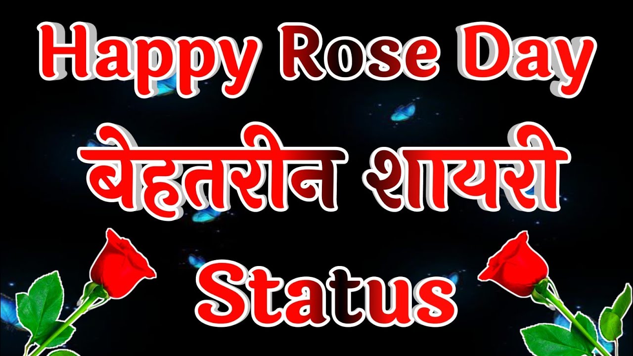 happy rose day status 🌹 rose day whatsapp status video 🌹 new status