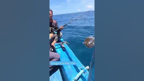 Bỏ Câu JIG sang Câu ĐÁY và cái kết #Shorts