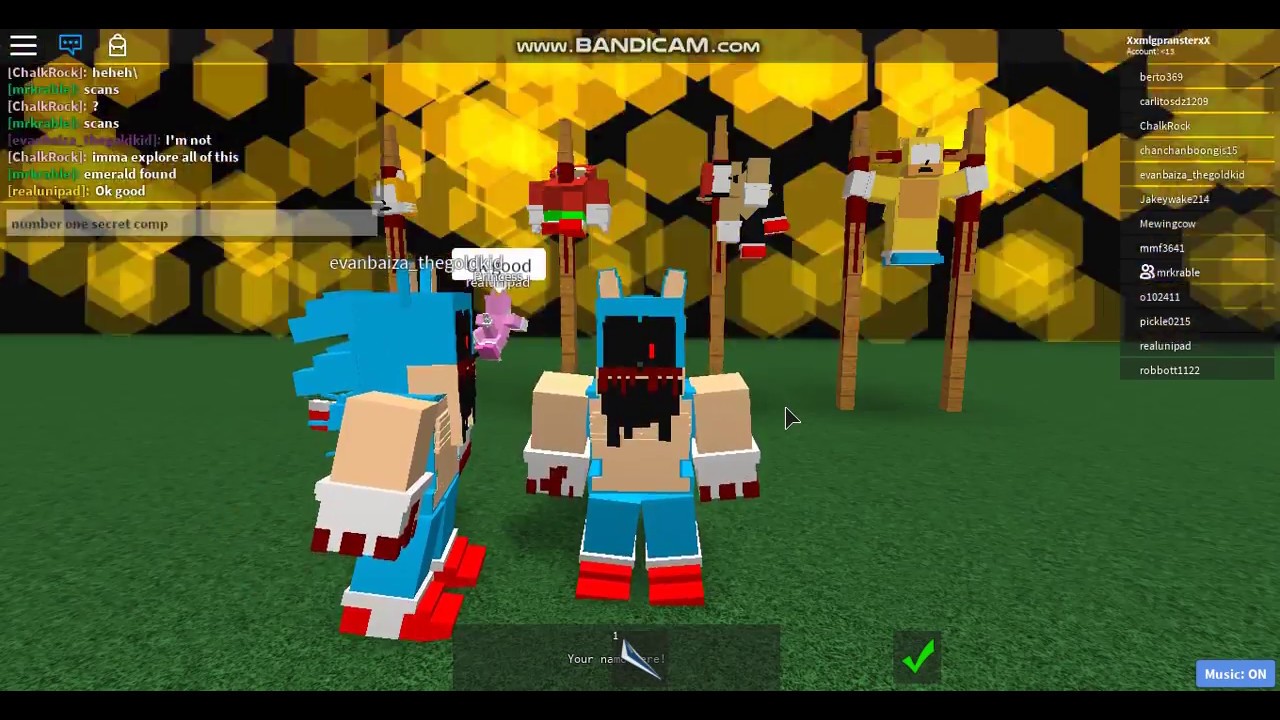 sonic ultimate mania rp roblox
