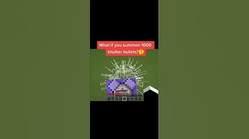 What If You Summon 1000 Shulker Bullets?🤔 | #shorts | Dangerous Result |