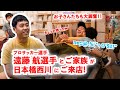 ［nishikawa］遠藤航選手のまくら・マットレス選び＆スペシャルインタビュー！