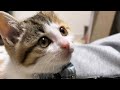 うみ を保護した日から1ヶ月となりました！
