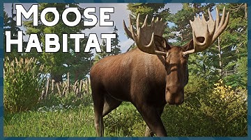 Realistic Moose Habitat | Speed Build | Planet Zoo North America Pack