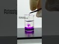👨🔬Making Tiny Elephant Toothpaste ASMR | SaySci's Tiny Lab 🧪