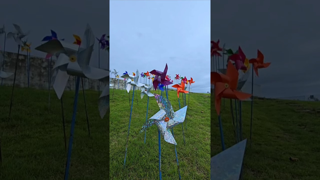 바람부는 임진각 평화누리공원