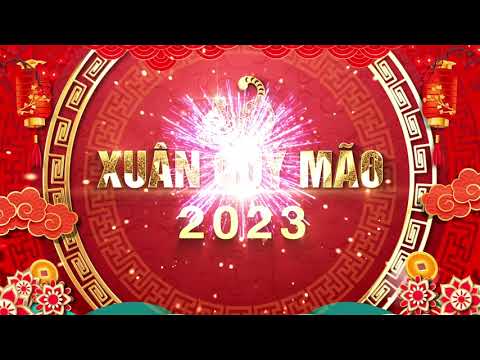 Video Background Tết 2023 đếm ngược - Vietnamese Lunar New... - youtube