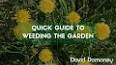 Weeding Your Garden: A Labor of Love ile ilgili video