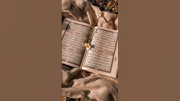 القرآن الكريم...😢😔...لا تهرب الله يراك🤕😔🙏