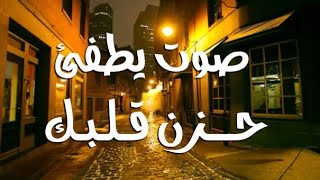 صوت يطفئ حزن قلبك ️  || القارئ اسلام صبحي || • حالات واتس اب دينيه • 