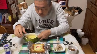 スープをぐるぐるするか気になっちゃう猫達/Cats are worried about what breakfast is.