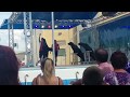 Salem fair  sea lions stunts