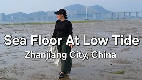 See Floor At Low Tide In Zhanjiang, Guangdong, China. Easter Holiday - DayDayNews