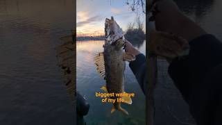 No pain no gain : Walleye edition #fishing #walleye #walleyefishing #LukeSuSucksAtFishing #Luke0fish