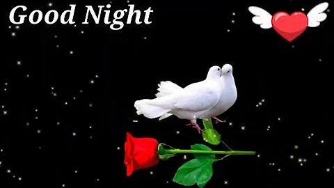 Good night video , Good night status, Good night song, Good night photo, #good night 