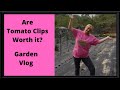 Tomato clips &amp; Garden Vlog