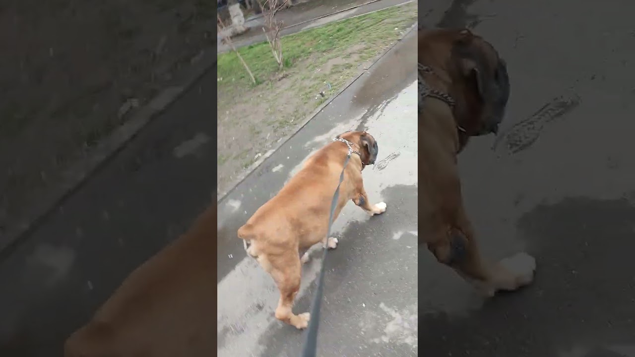 С наступающим дорогие женщины🌷🌷🌷🌷🌷
