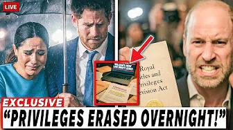Prince Harry and Meghan Markle DESTROYED by the NEW RULE—Their PRIVILEGES are OVER!?