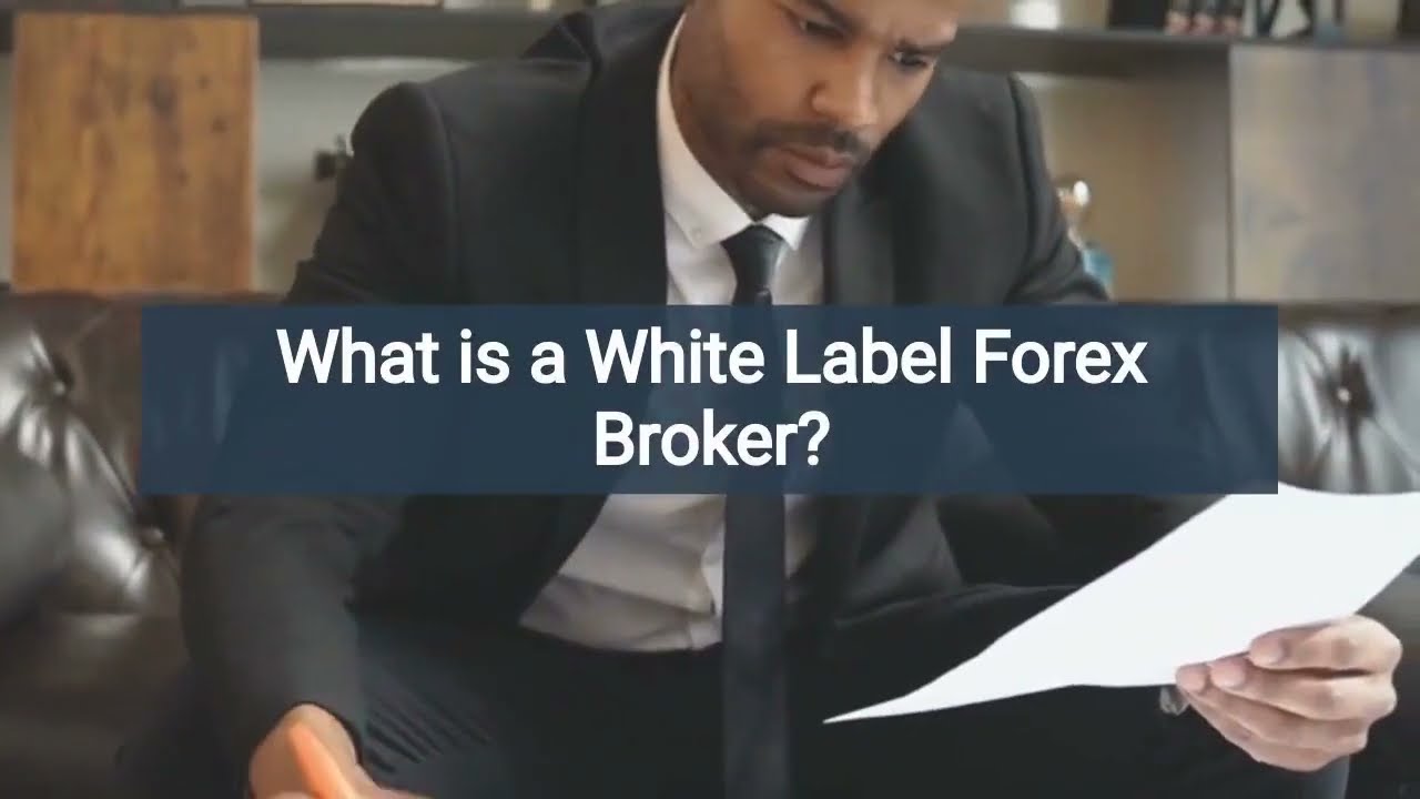 regulated broker forex