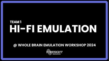 Team 1 | Hi Fi Emulation @ Whole Brain Emulation Workshop 2024