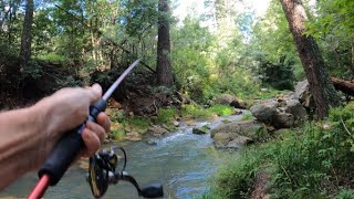 Fishing Arizona: Canyon Creek /White Mountain Apache Reservation Washout