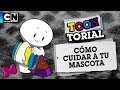 Cómo cuidar a tu mascota | Toontorial | #QuedateEnCasa