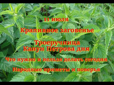 11 июля Крапивное заговенье, Троеручница. Канун Петрова дня. Что нужно и нельзя делать сегодня.