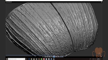 Demonstration: Rainbow Scarab Beetle - Part 7