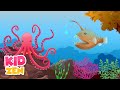 10 Hours Relaxing Baby Sleep Music | Dream of Blue 🐙 Piano Music with Underwater Sounds (Extended)