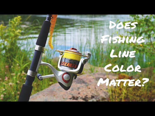 Does Fishing Line Color Matter? Watch This to Find Out Now! 