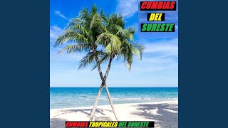 Video thumbnail of "Cumbias Del Sureste - La Vecina Chorreada - Carlos El Chico Tropicalero"