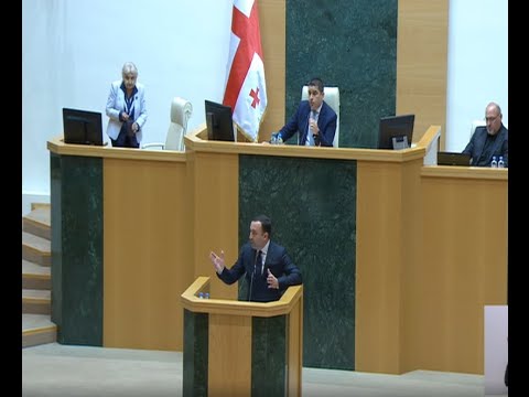 წამალი არ გქავთ? მიუტანეთ, დაამშვიდეთ!- ხმაური სესიაზე ირაკლი ღარიბაშვილის ანგარიშის მოსმენისას