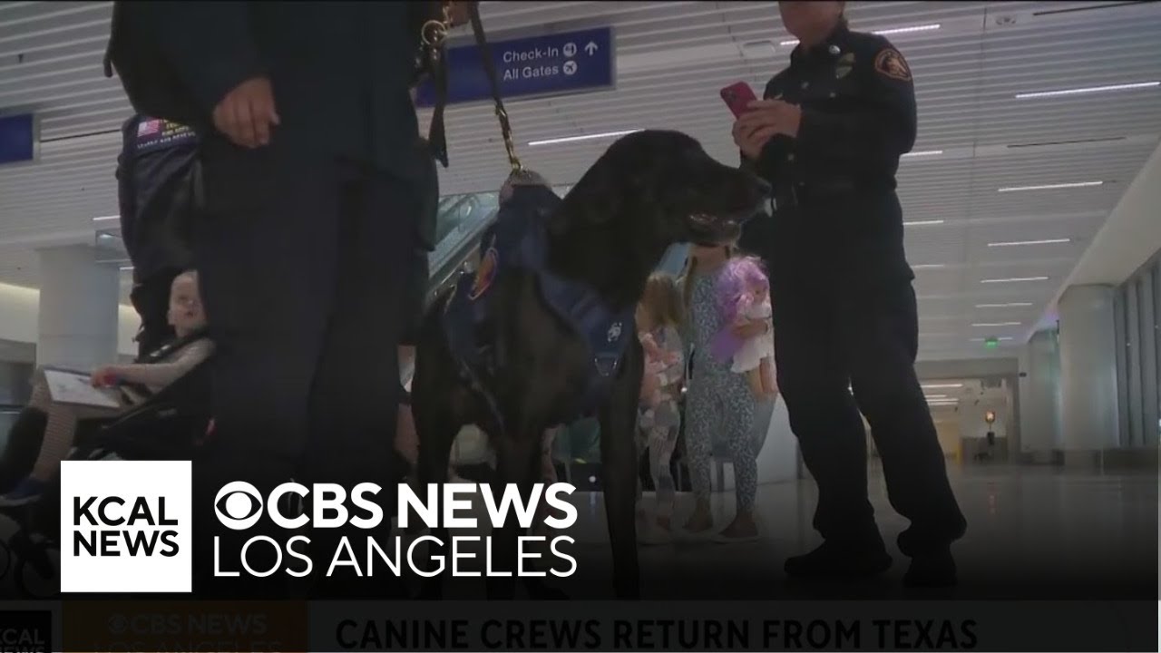 Los Angeles County canine crews return after assisting with Texas flood rescues
