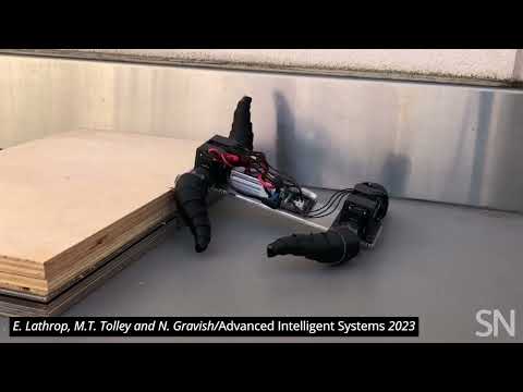 Watch an ant-inspired robot traverse various terrains | Science News
