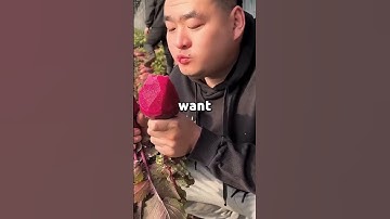 My father demanded a DNA test for my grandfather