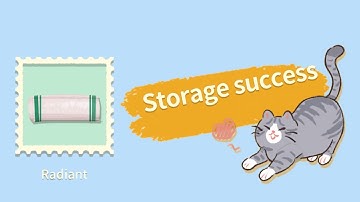 Storage Master Game Level Radiant