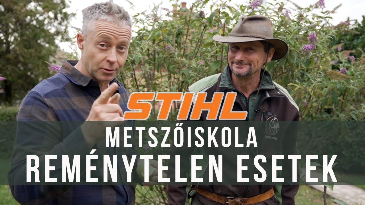 Menthetetlen fák? | STIHL metsző iskola