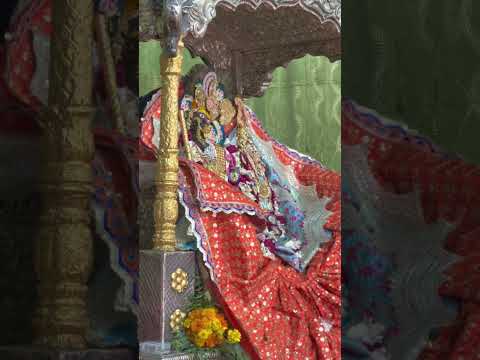 📍बरसाना, मथुरा | श्री राधा रानी मंदिर जाकर श्रीजी के दर्शन का सौभाग्य प्राप्त हुआ। Nitin Gadkari