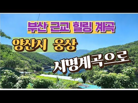 물소리만으로도 시원해요.양산 시명계곡으로